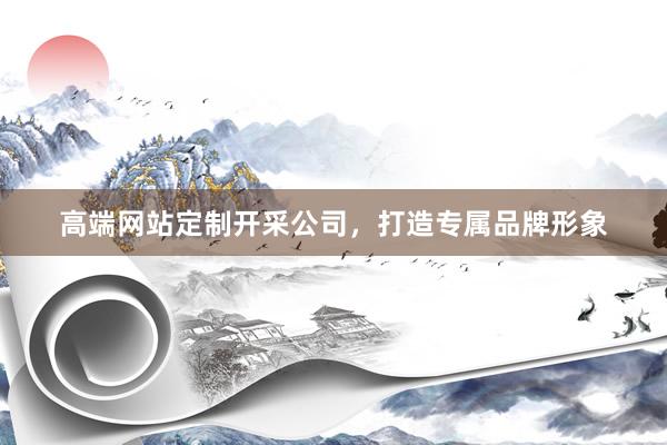 高端网站定制开采公司，打造专属品牌形象