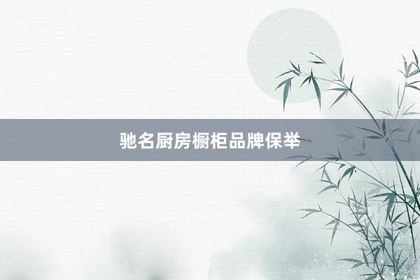 驰名厨房橱柜品牌保举